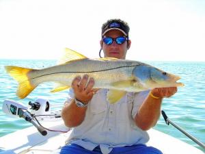 39 inch snook
